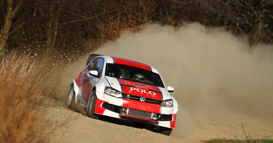 Testy Polo Proto